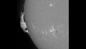 GONG H-alpha Image from the Learmonth observatory in Australia